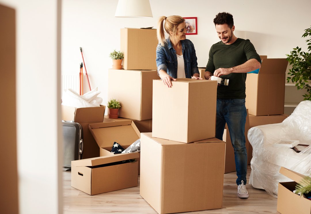 Safex Vibrant Packers And Movers